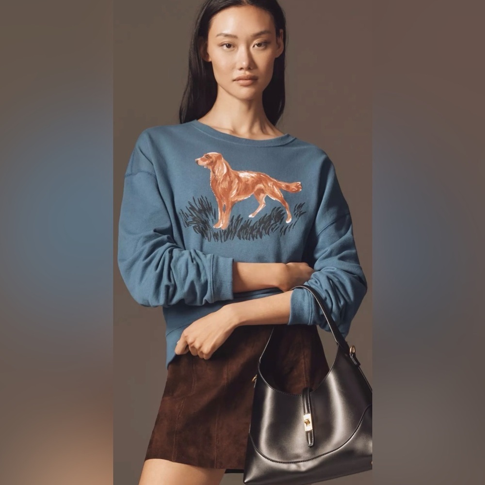 Oversized Maeve Cozy Dog Sweatshirt nwt Anthropologie sz Medium Blue